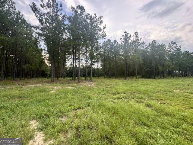 0 Dewey Thomas Road Dexter, GA 31019 - Photo 2 of 8 Gallery Image 2