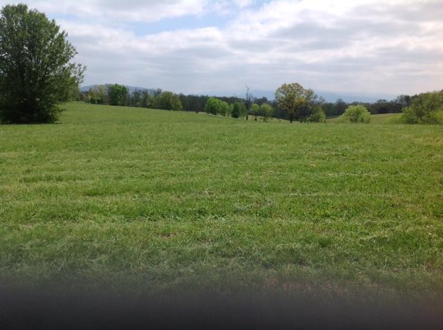 Niles Ferry Road Greenback, TN 37742 - Photo 2 of 9 Niles ferry lots 5 and 6 pic 2