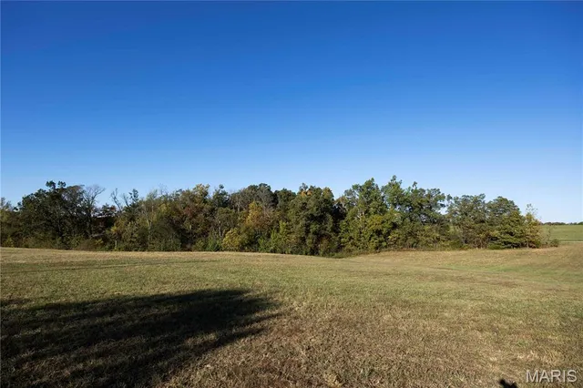 $56,900 | Lot 11 Tyler Branch, Perryville, MO 63775