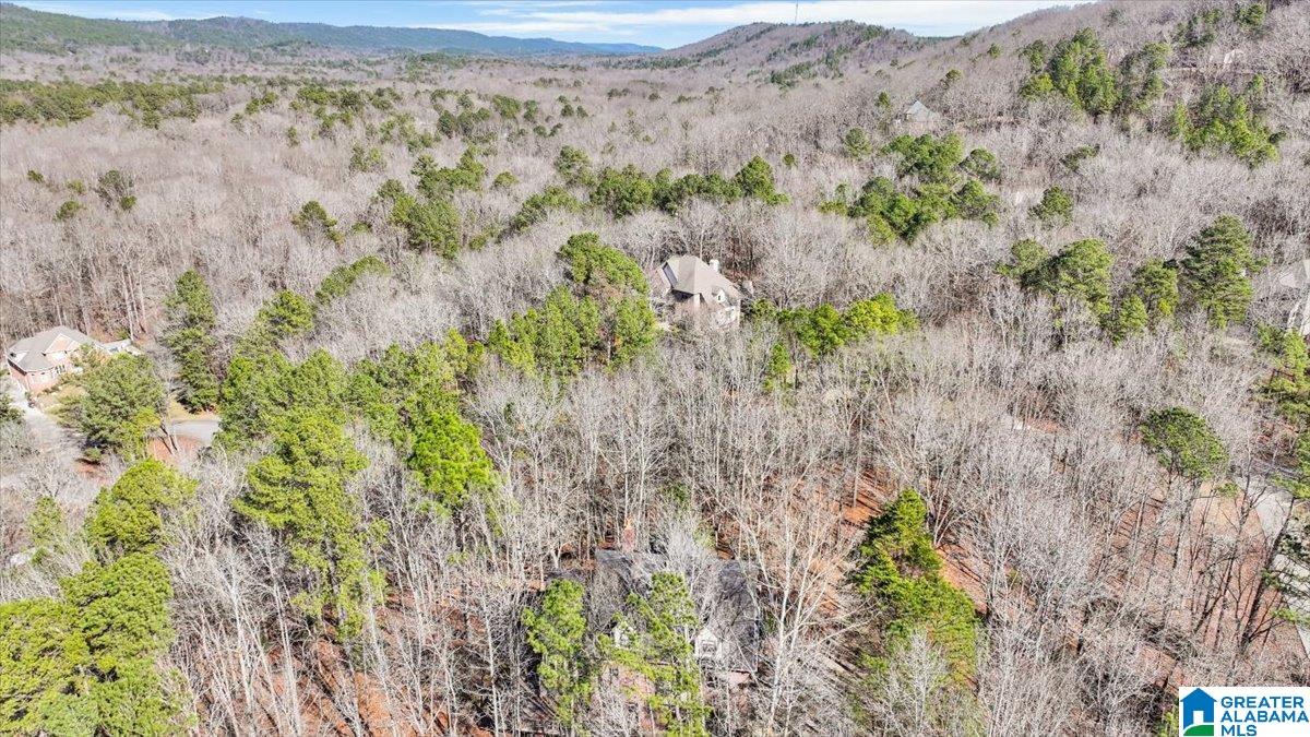 109 Hunset Mill Lane Pelham, AL 35124 - Photo 53 of 58
