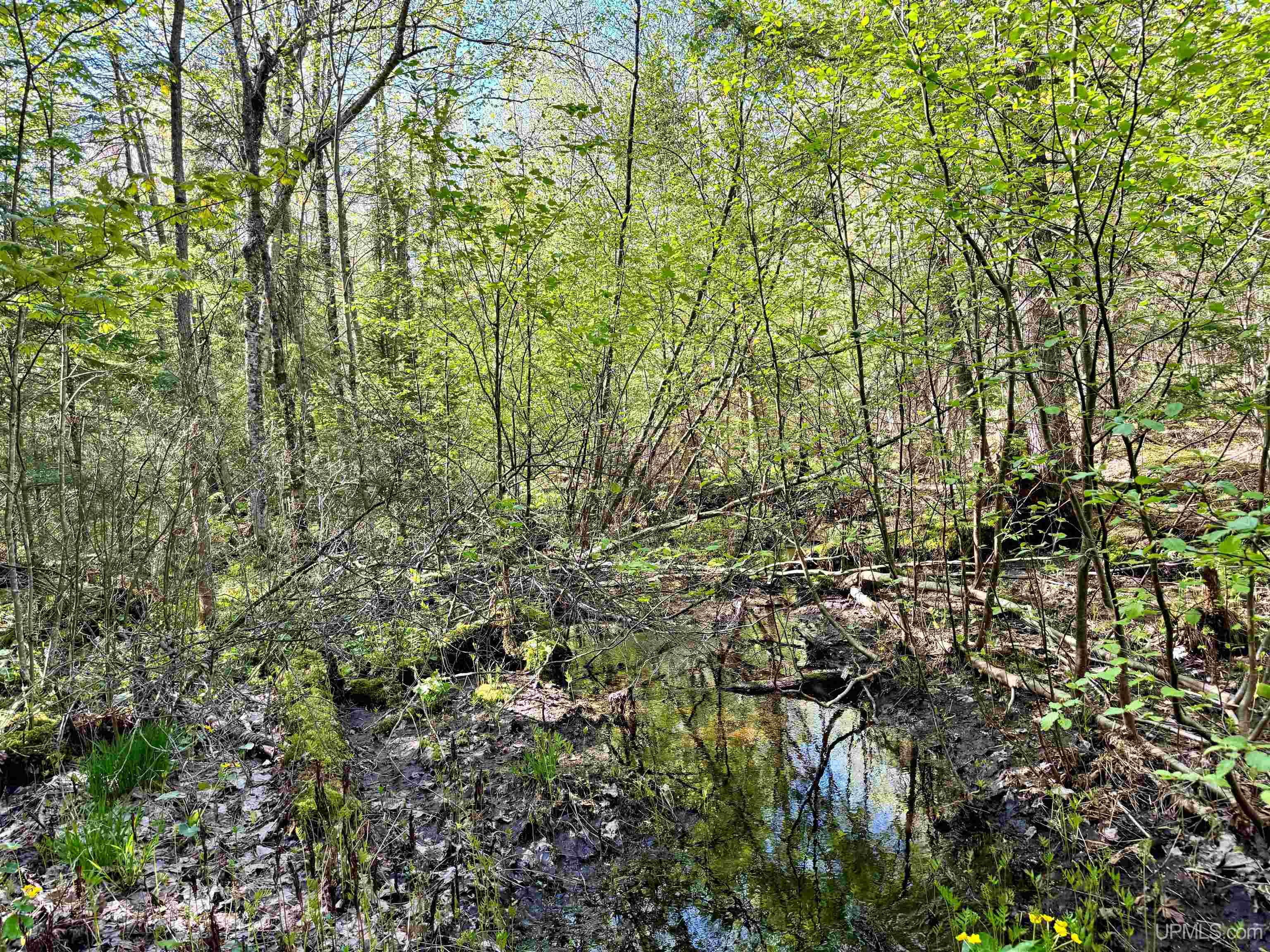 Tbd Tbd Segan Road Marquette, MI 49855 - Photo 11 of 21
