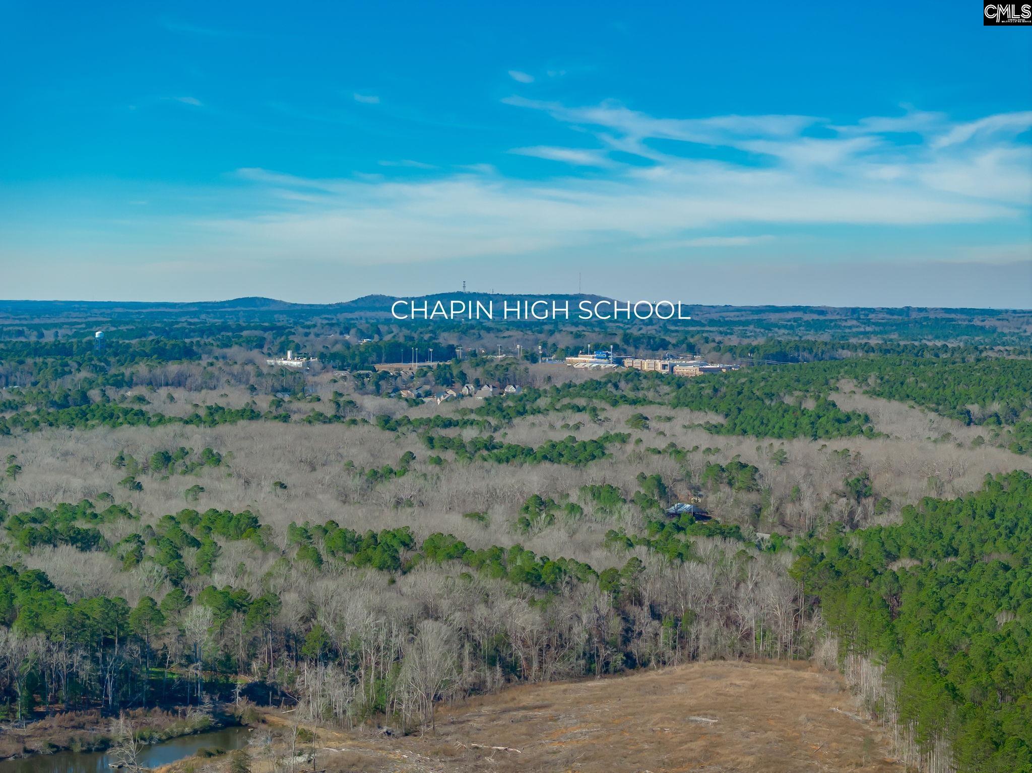 501 Crooked Creek Road Chapin, SC 29036 - Photo 11 of 28
