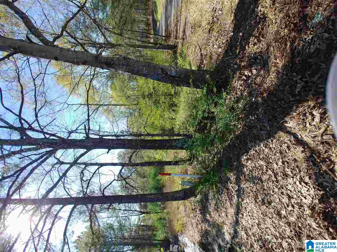 0 Roberts Mill Pond Road, Unit 1 39 Pell City, AL 35128 - Photo 29 of 29