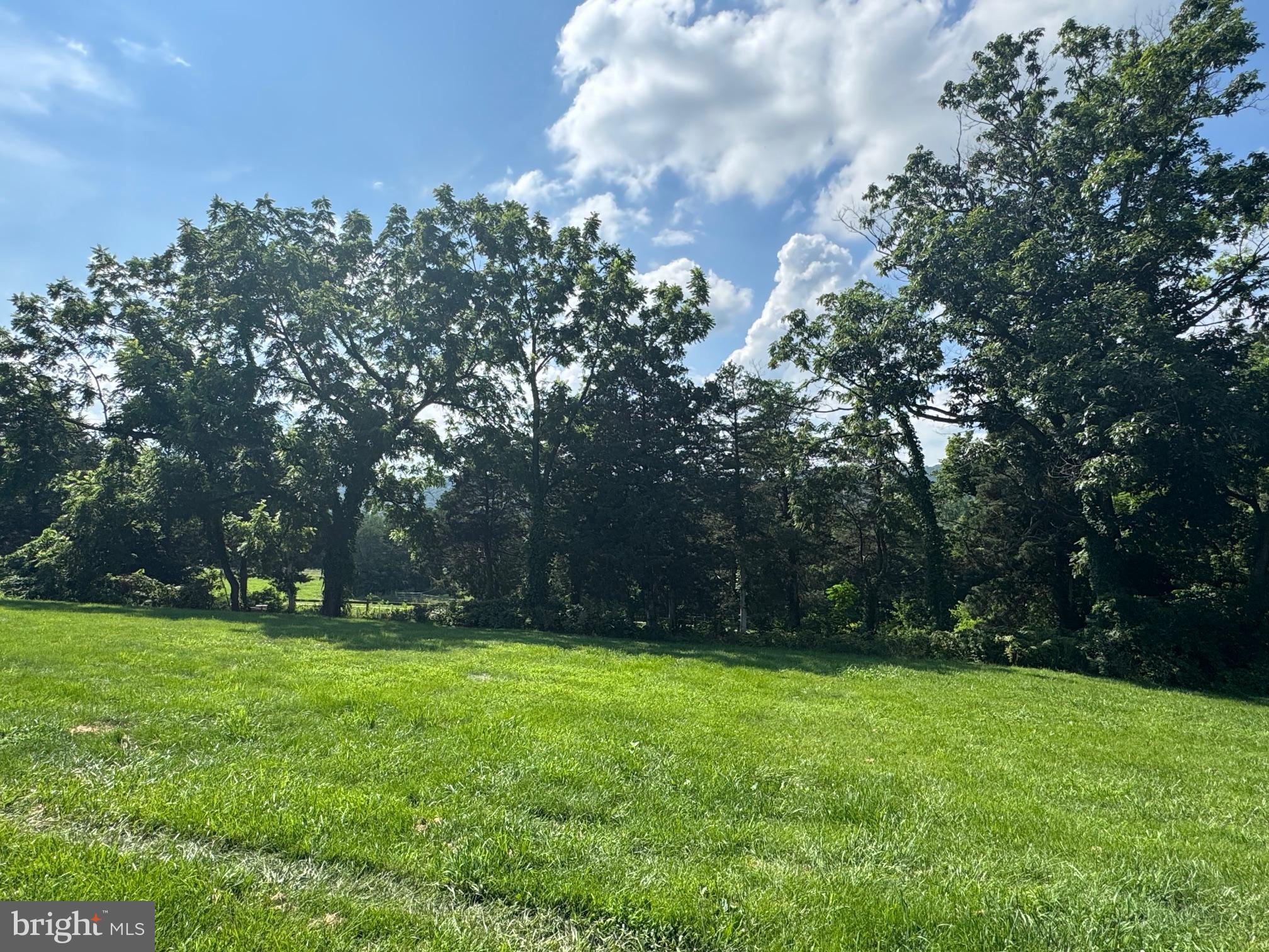 1822 Pleasant View Road Mount Jackson, VA 22842 - Photo 45 of 48 View from front of house