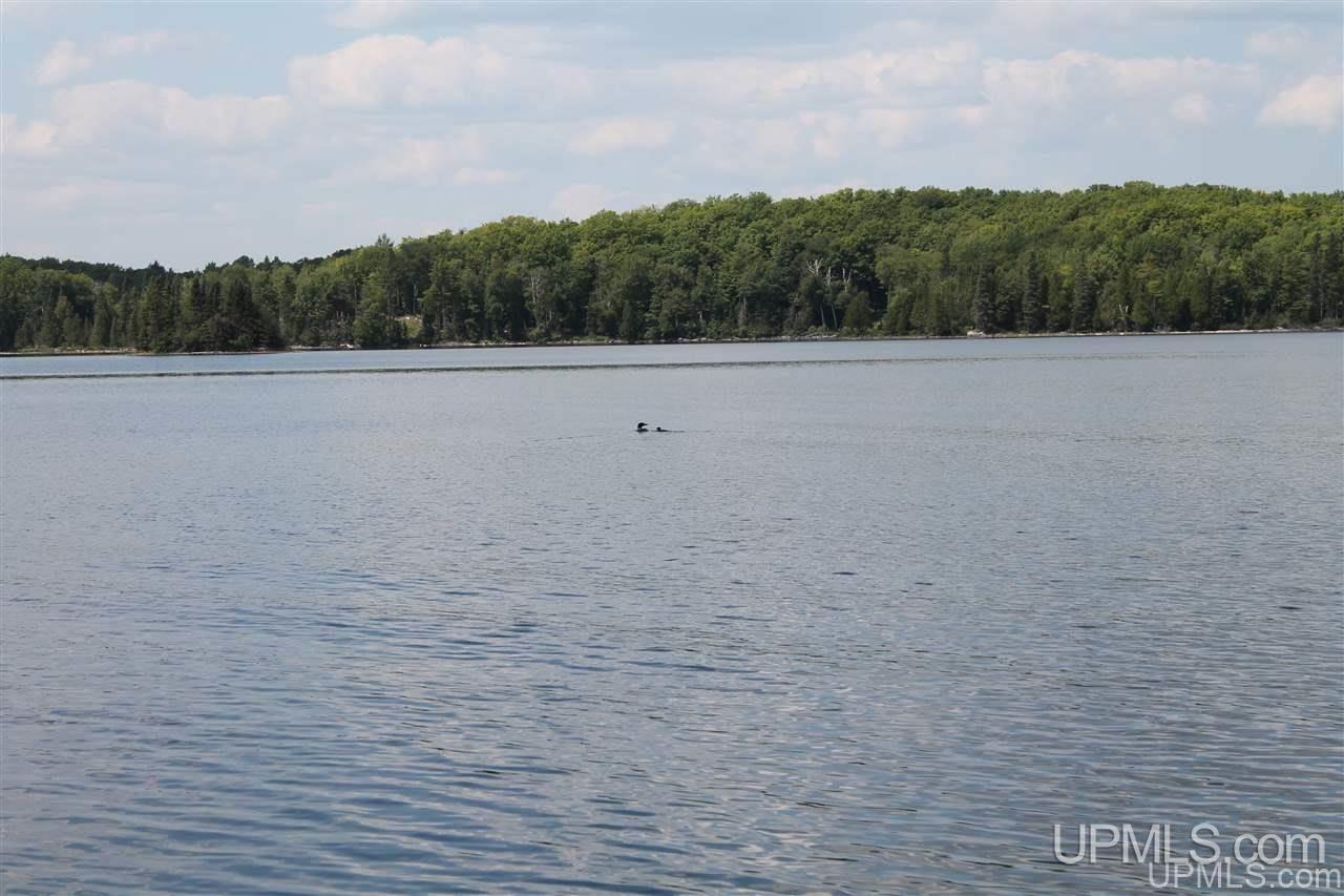 Lot 26 Secluded Point Road Michigamme, MI 49861 - Photo 4 of 17
