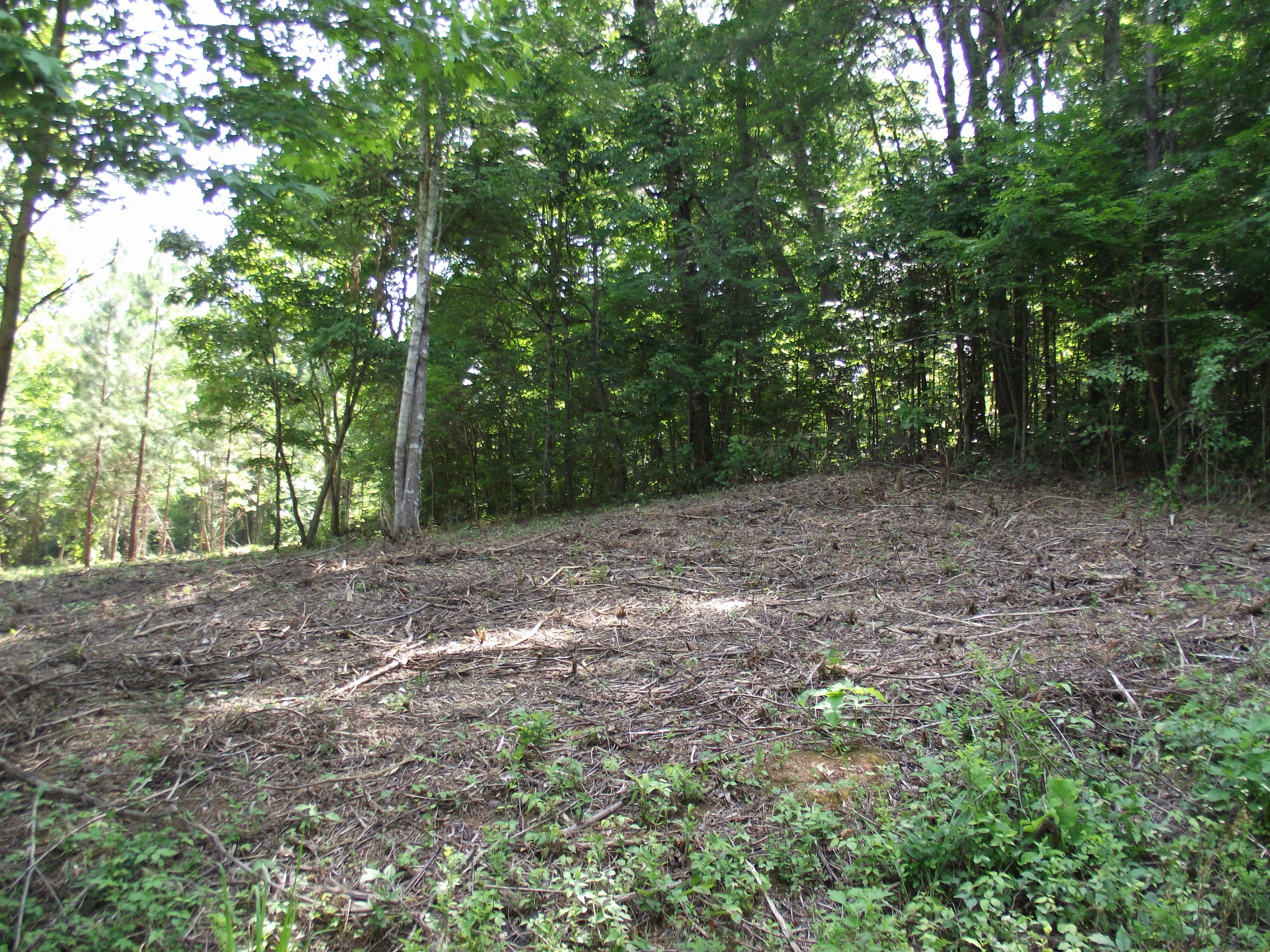 Decatur Hwy/squaw Valley Kingston, TN 37763 - Photo 1 of 10 DSCF4775