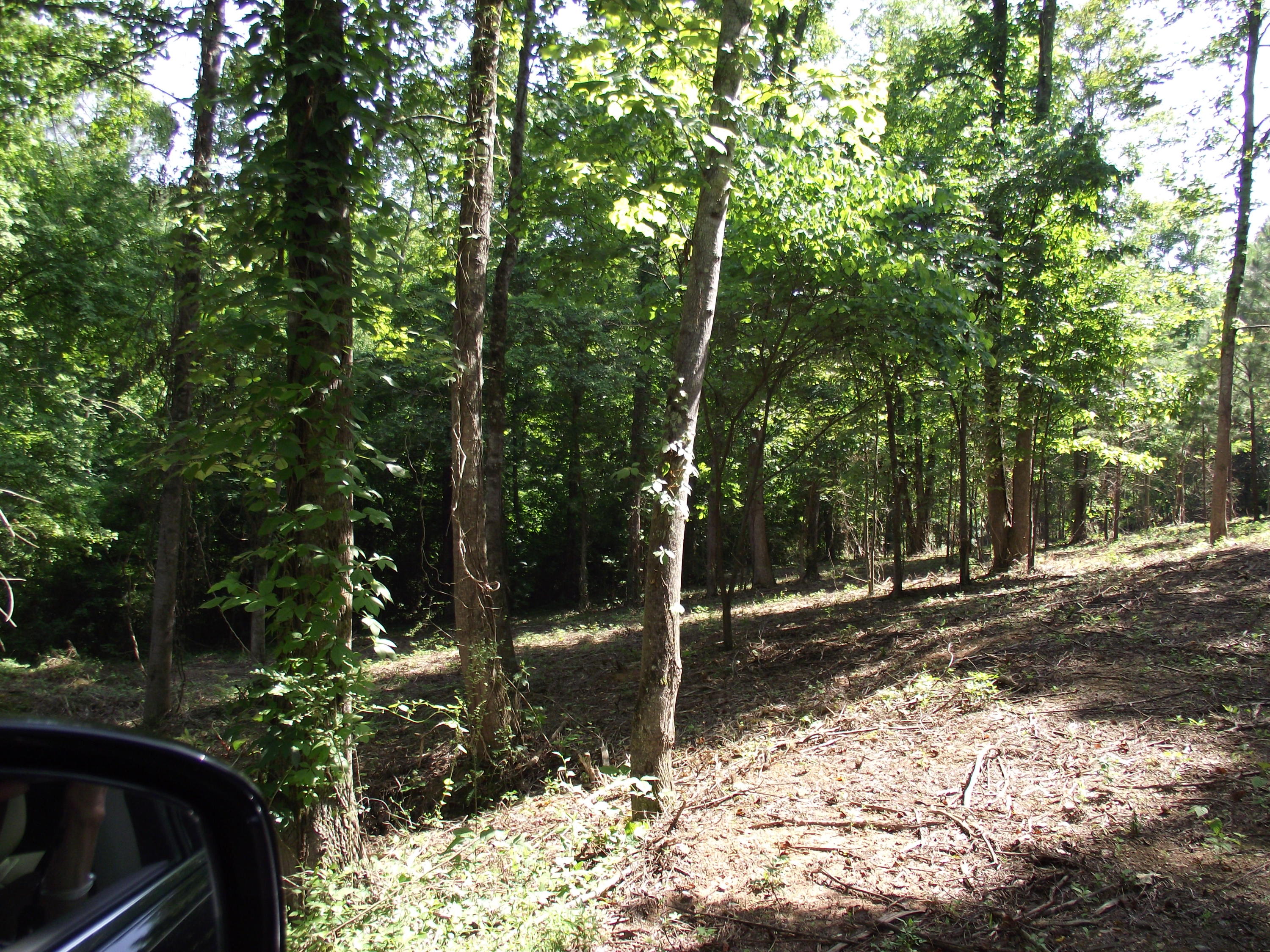 Decatur Hwy/squaw Valley Kingston, TN 37763 - Photo 2 of 10 DSCF4780