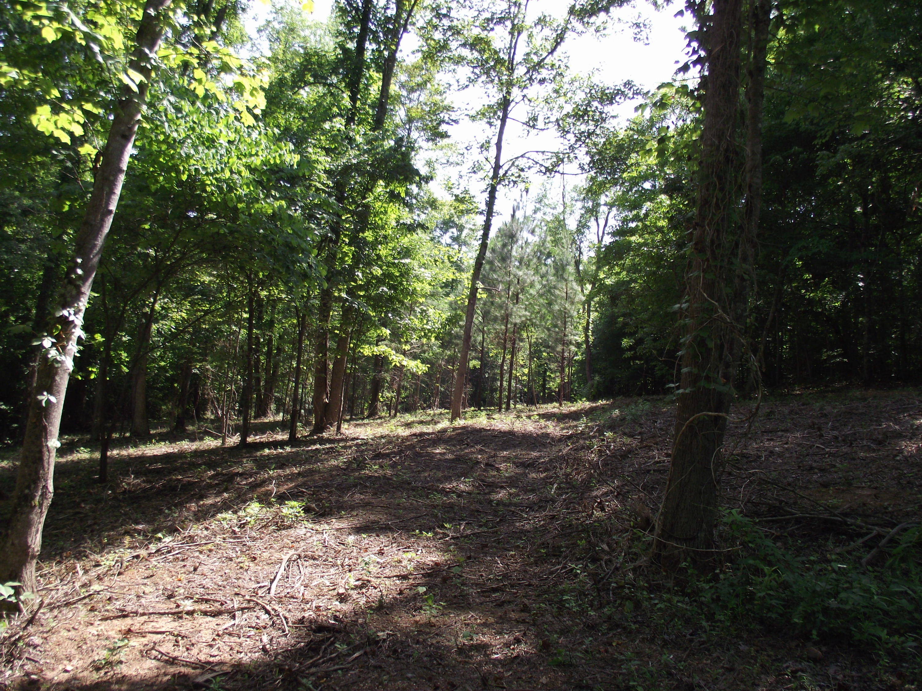 Decatur Hwy/squaw Valley Kingston, TN 37763 - Photo 3 of 10 DSCF4779