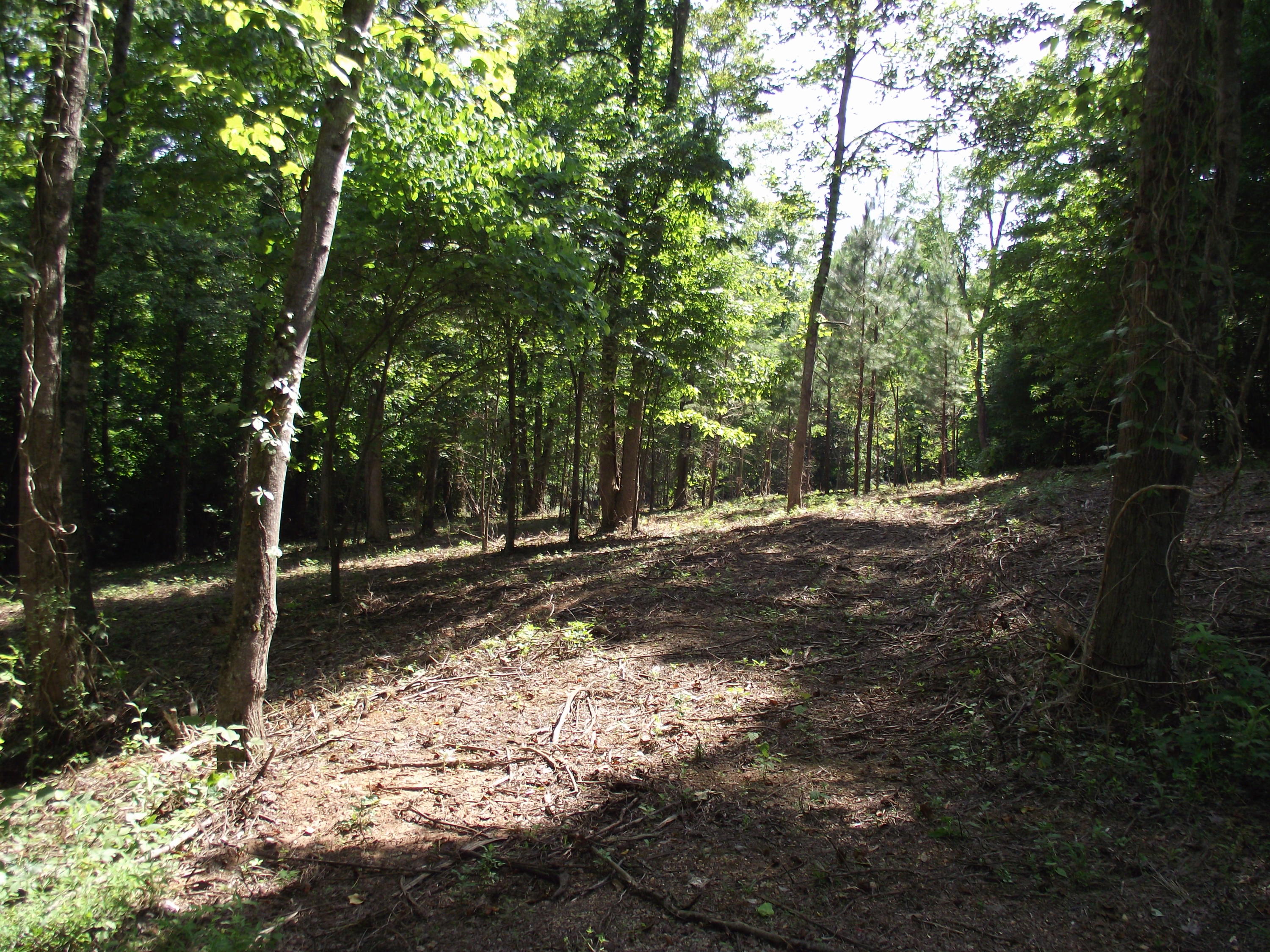 Decatur Hwy/squaw Valley Kingston, TN 37763 - Photo 8 of 10 DSCF4778