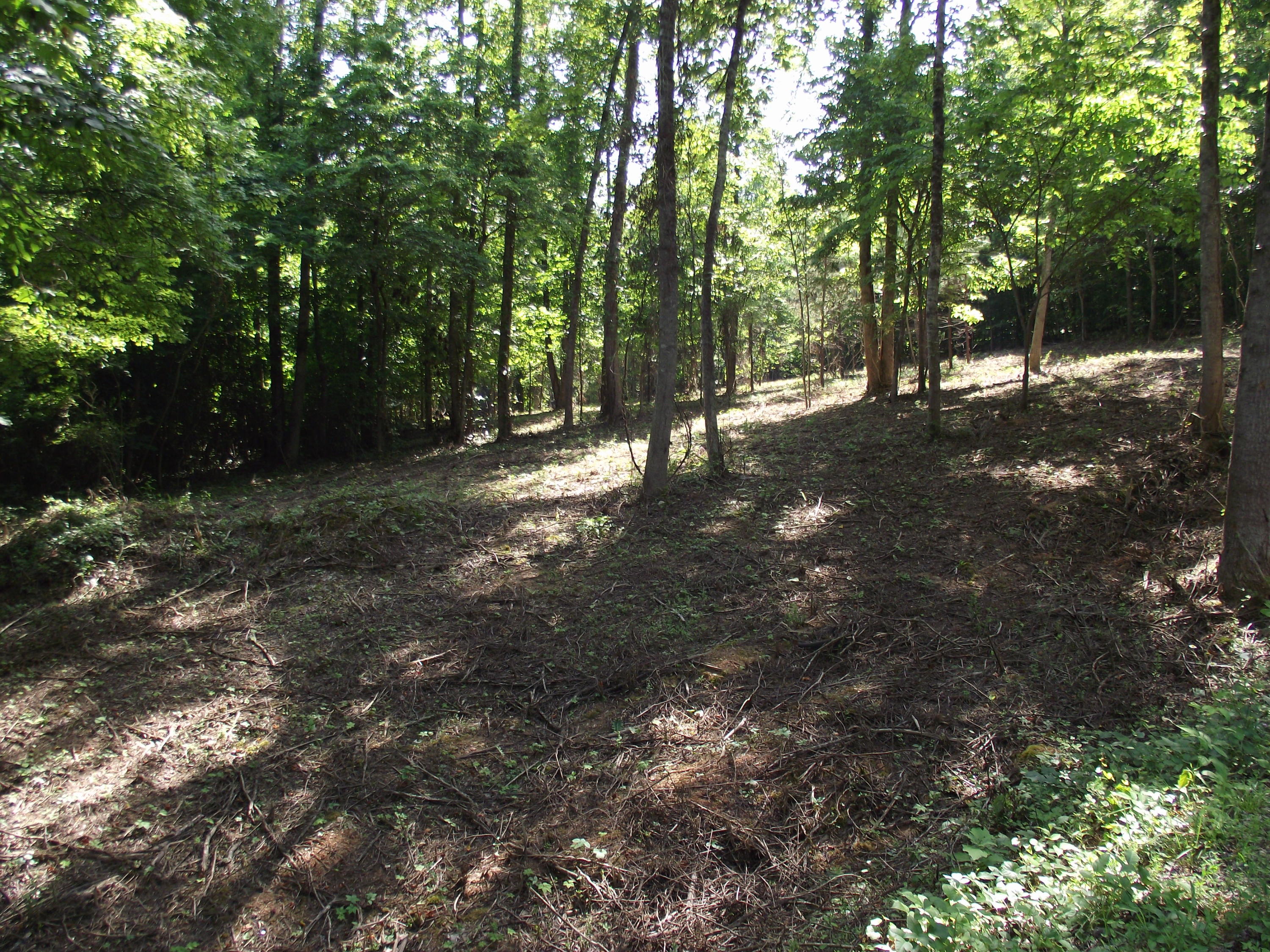 Decatur Hwy/squaw Valley Kingston, TN 37763 - Photo 10 of 10 DSCF4782