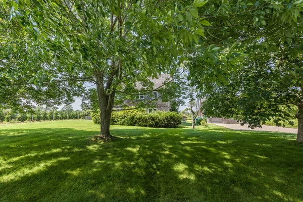 a view of a grassy field with trees