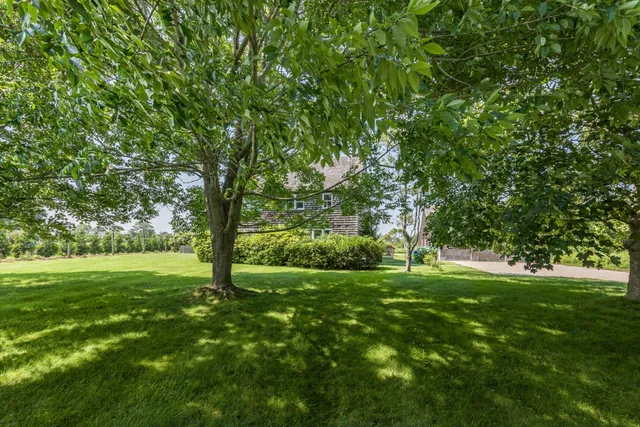 a view of a grassy field with trees
