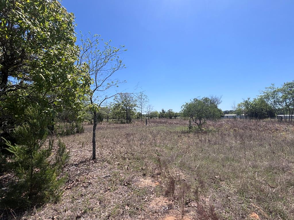5-ac Kirkland Store Road Mauk, GA 31058 - Photo 10 of 17 Gallery Image 10
