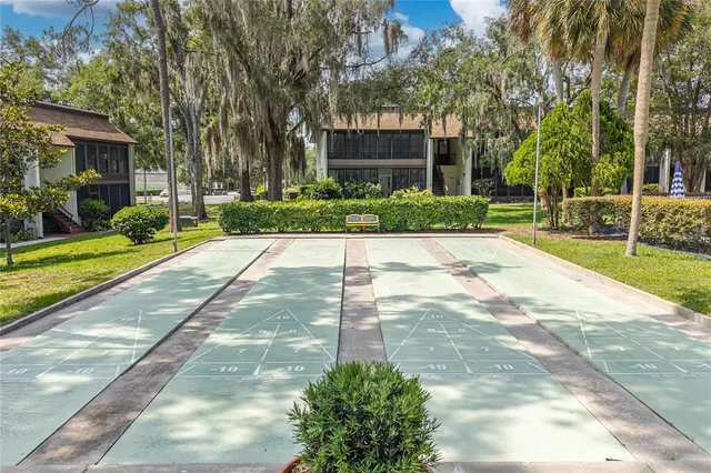 a view of a yard with plants and trees