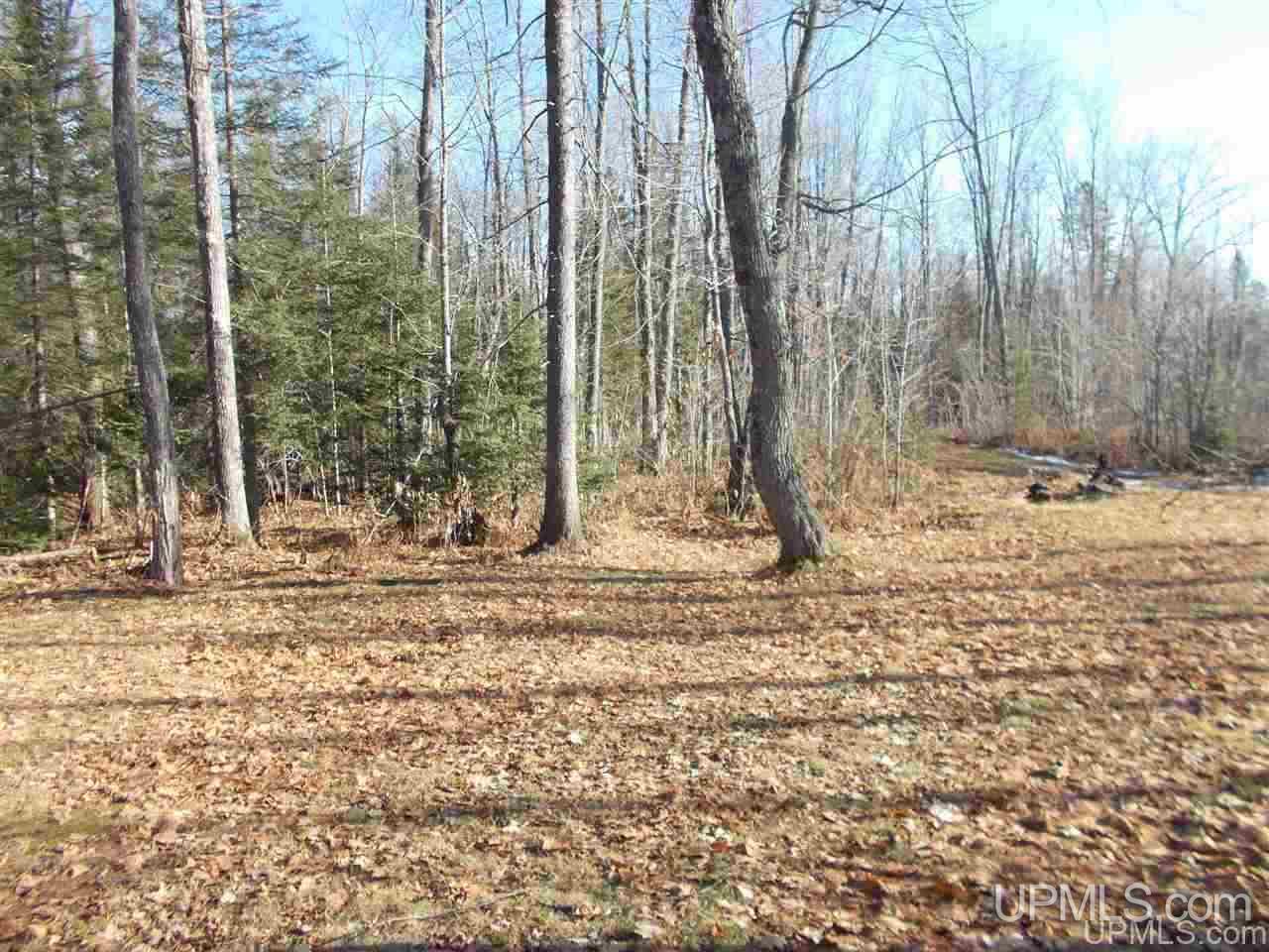 Tbd Tbd Co Road Ishpeming, MI 49849 - Photo 20 of 29
