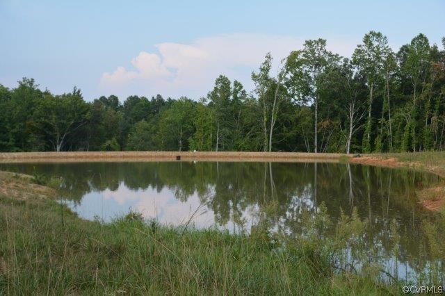 140 Sheppards Road Farmville, VA 23901 - Photo 1 of 22 a view of a lake view with a garden