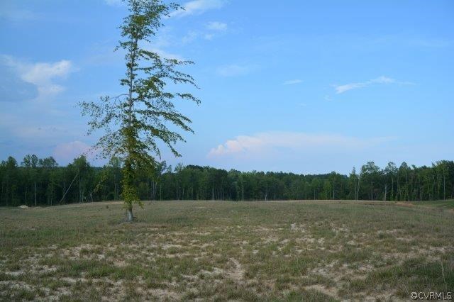 140 Sheppards Road Farmville, VA 23901 - Photo 3 of 22 a view of a field