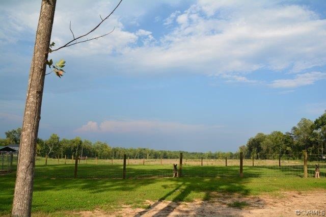 140 Sheppards Road Farmville, VA 23901 - Photo 6 of 22 a view of a big yard with a big yard