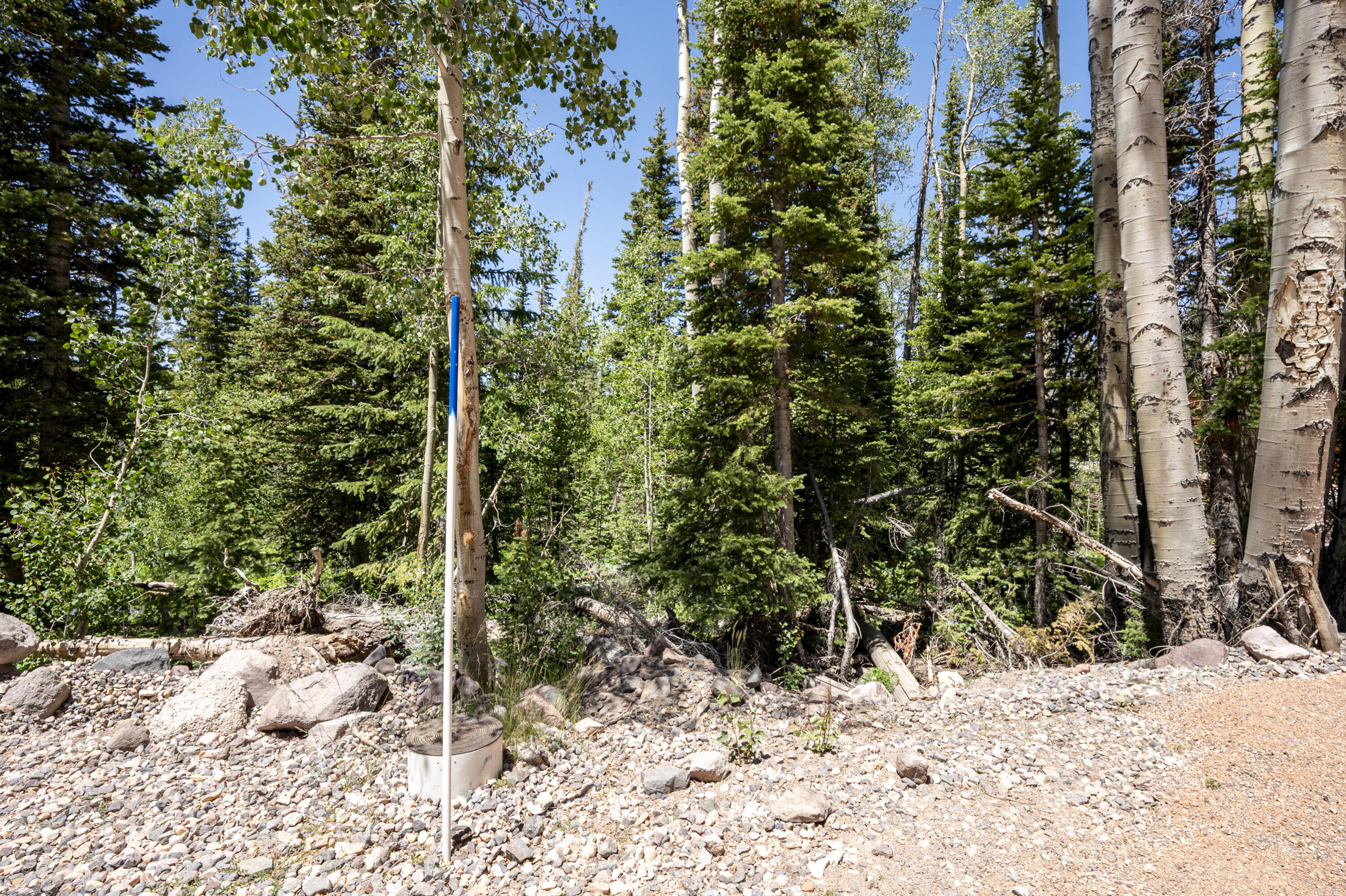 349 East Trl Road Brian Head, UT 84719 - Photo 4 of 12 Lot 27 Trail Rd-11