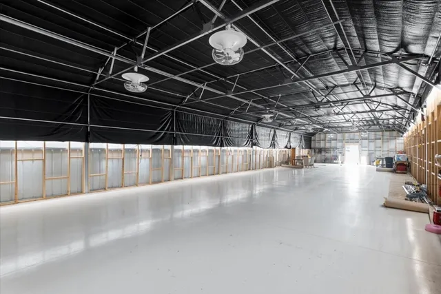 a view of a backyard with trees