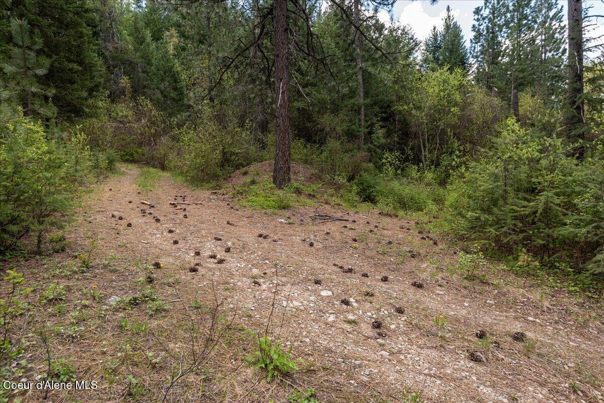 Nna North Corbin Hill Road Athol, ID 83801 - Photo 23 of 25 22-DSC_5623