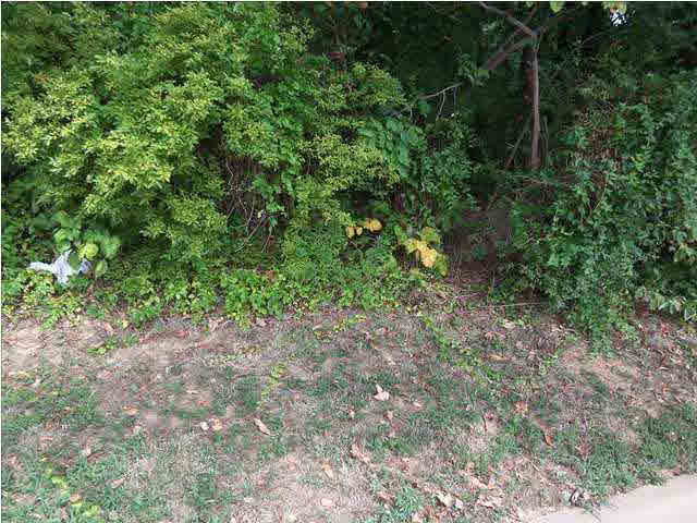 0 Frame Road Newburgh, IN 47630 - Photo 5 of 12