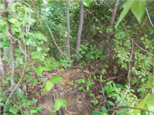 0 Frame Road Newburgh, IN 47630 - Photo 6 of 12