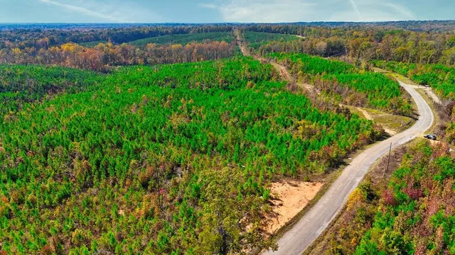 a view of a garden with a lake