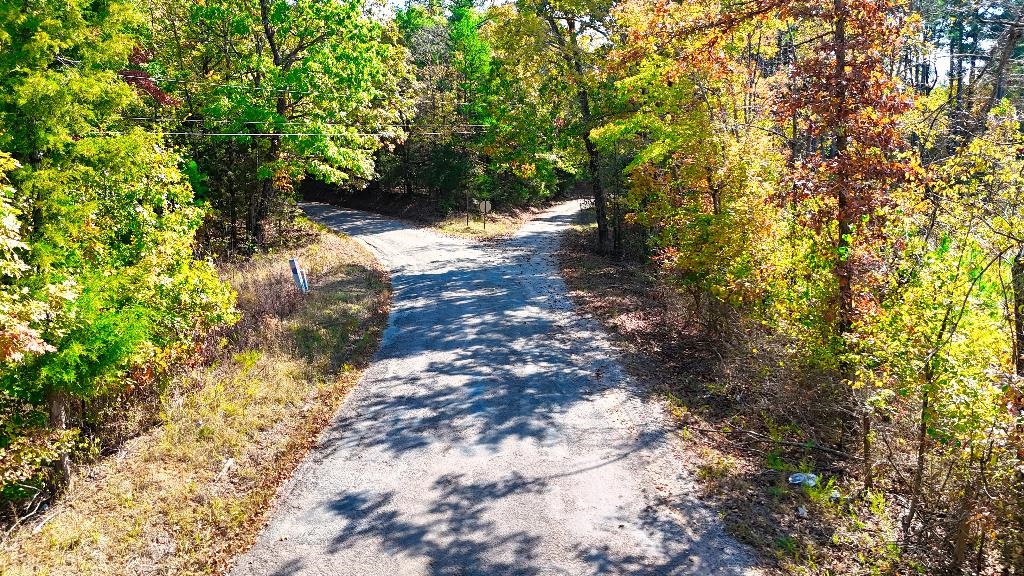 0 George West Road, Unit LOT 10 Middleton, TN 38052 - Photo 12 of 14 a view of a yard with plants and trees