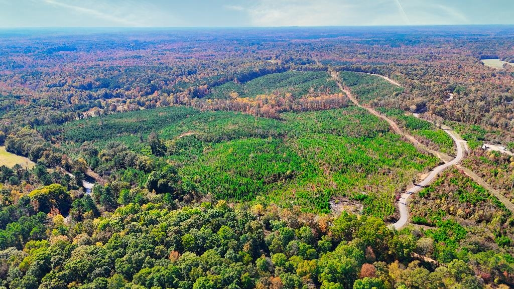 0 George West Road, Unit LOT 10 Middleton, TN 38052 - Photo 2 of 14 an aerial view of residential houses with outdoor space and trees