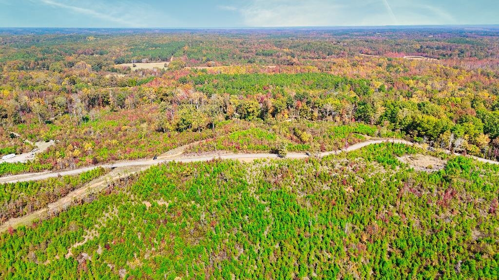 0 George West Road, Unit LOT 10 Middleton, TN 38052 - Photo 3 of 14 a view of city and ocean