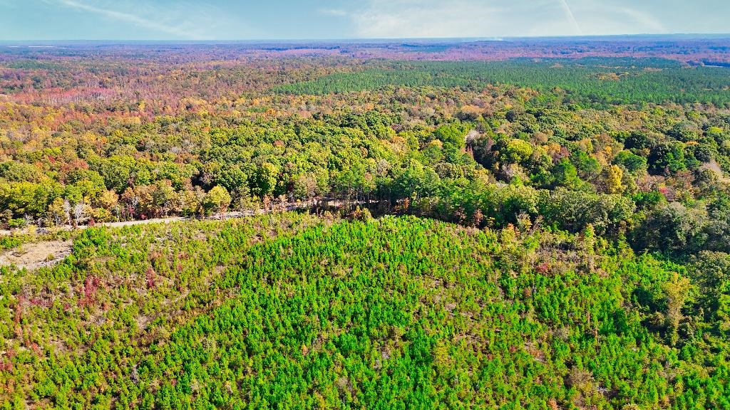 0 George West Road, Unit LOT 10 Middleton, TN 38052 - Photo 5 of 14 a view of a city with lush green forest