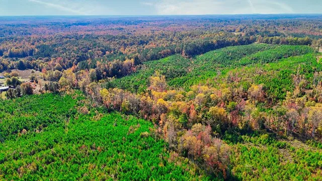 an aerial view of a houses with a lush green hillside