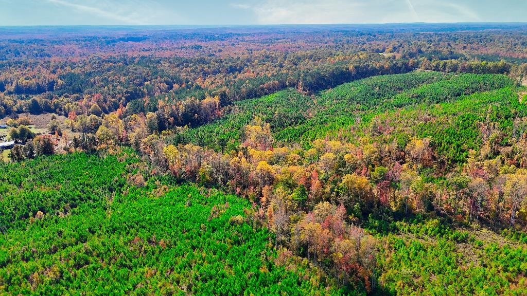0 George West Road, Unit LOT 10 Middleton, TN 38052 - Photo 6 of 14 an aerial view of a houses with a lush green hillside