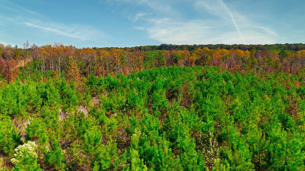 0 George West Road, Unit LOT 10 Middleton, TN 38052 - Photo 7 of 14 a view of lake with green space