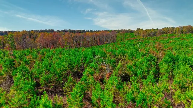 a view of a lake and green valley