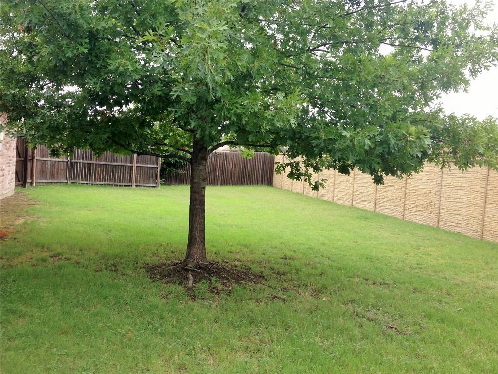 625 Rothschild Lane Murphy, TX 75094 - Photo 21 of 22