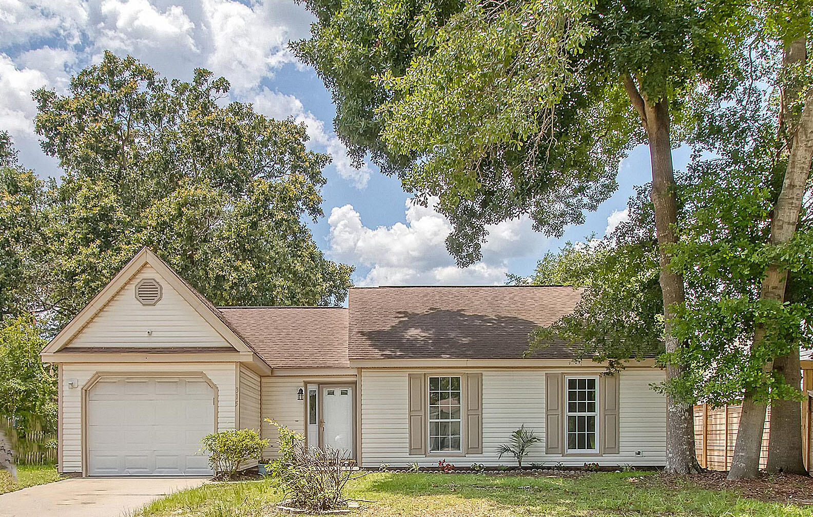 315 Indigo Road Goose Creek, SC 29445 - Photo 3 of 26 IMG_7731_4-copy