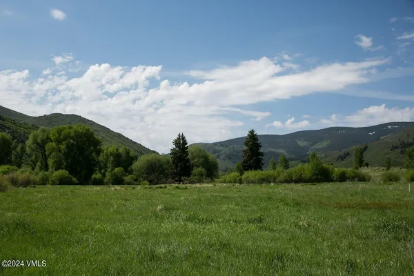 a view of a grassy field with mountains in the background