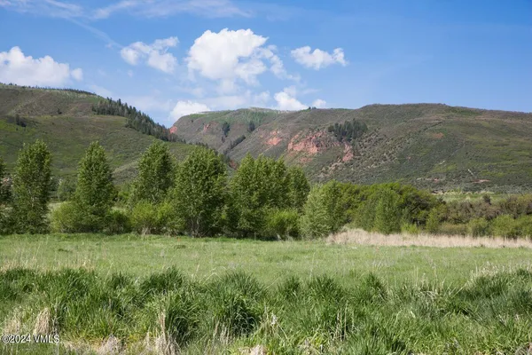 a view of a lush green hillside and a houses
