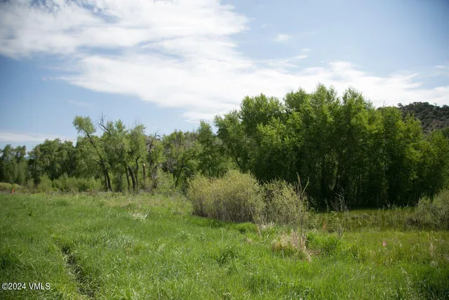 a view of a lush green space