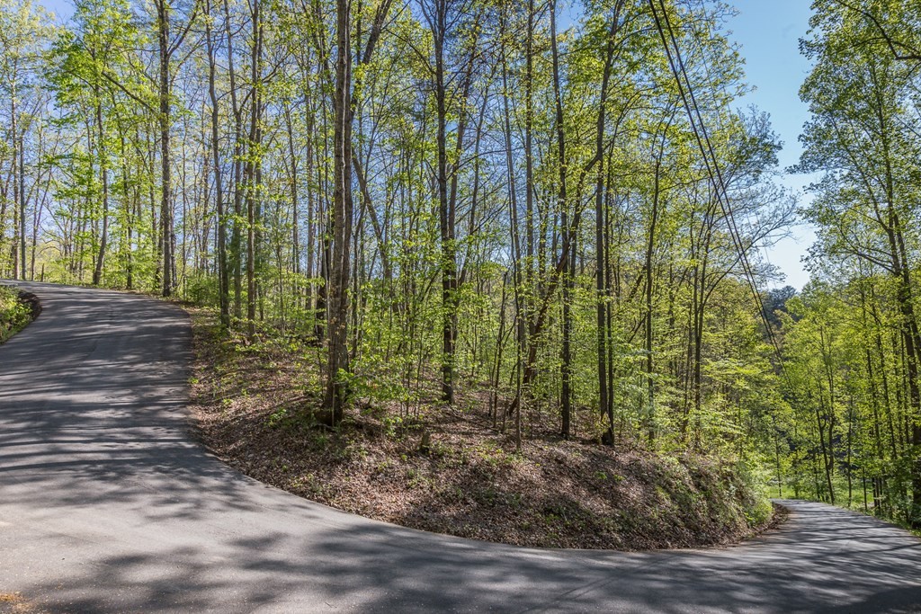 111 Hatcher Mountain Road Sevierville, TN 37862 - Photo 5 of 7