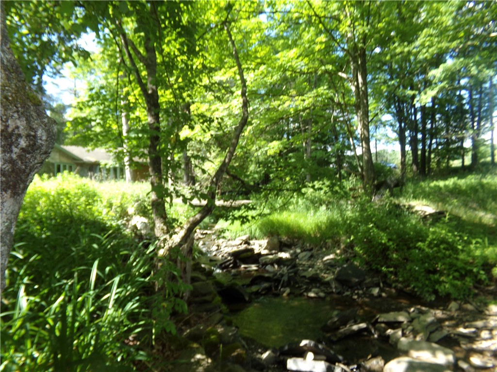 293 Lockwood Hill Road Mount Upton, NY 13809 - Photo 8 of 17