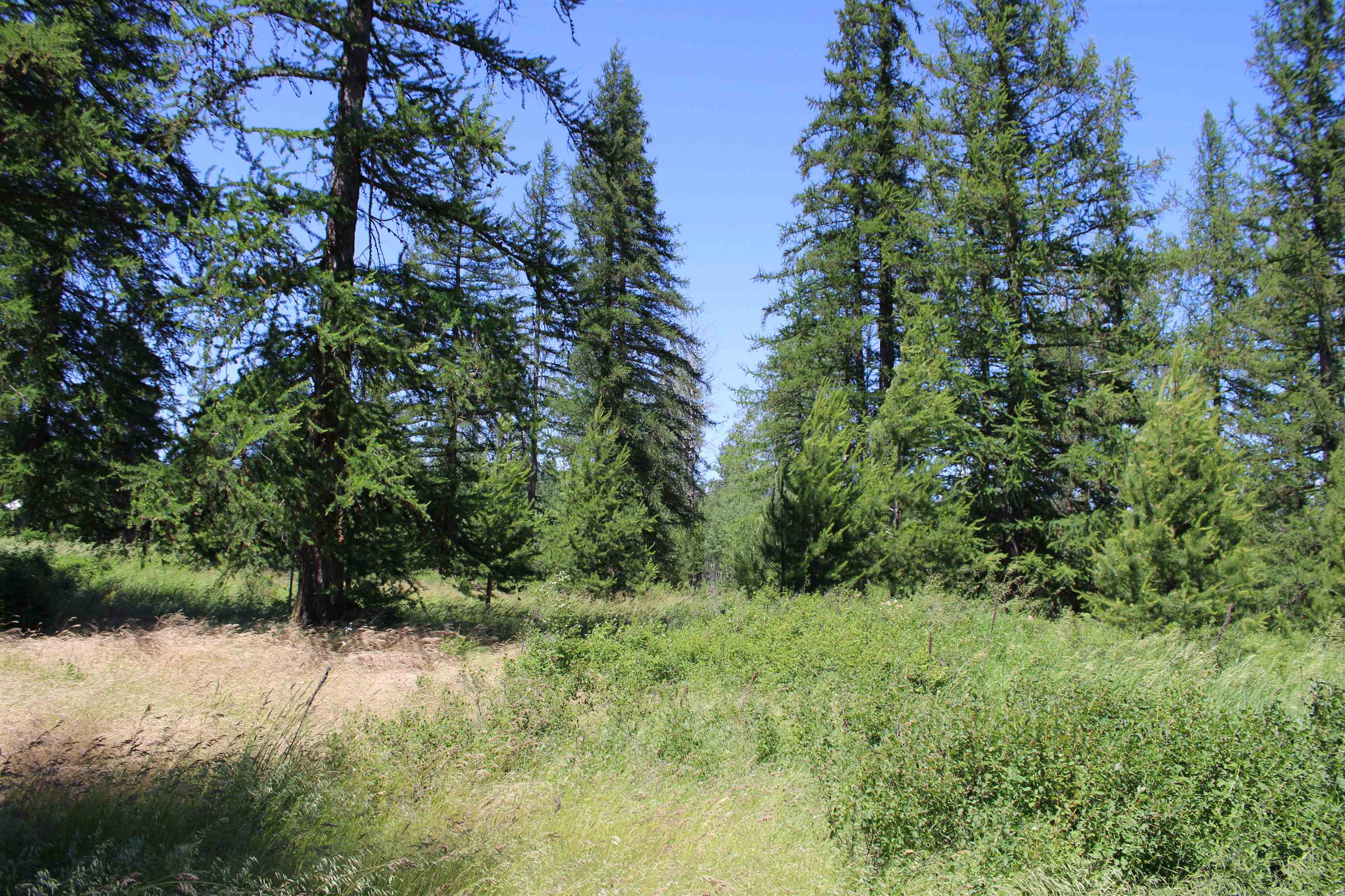 Gibson-dahl West Rd Clayton Wa 99110 Road Clayton, WA 99110 - Photo 5 of 13