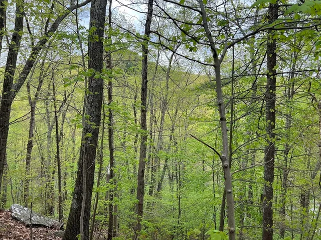 $89,900 | 599-607 Old Warren Road, Palmer, MA 01069