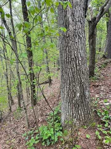 $89,900 | 599-607 Old Warren Road, Palmer, MA 01069