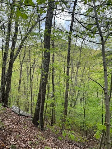 $89,900 | 599-607 Old Warren Road, Palmer, MA 01069