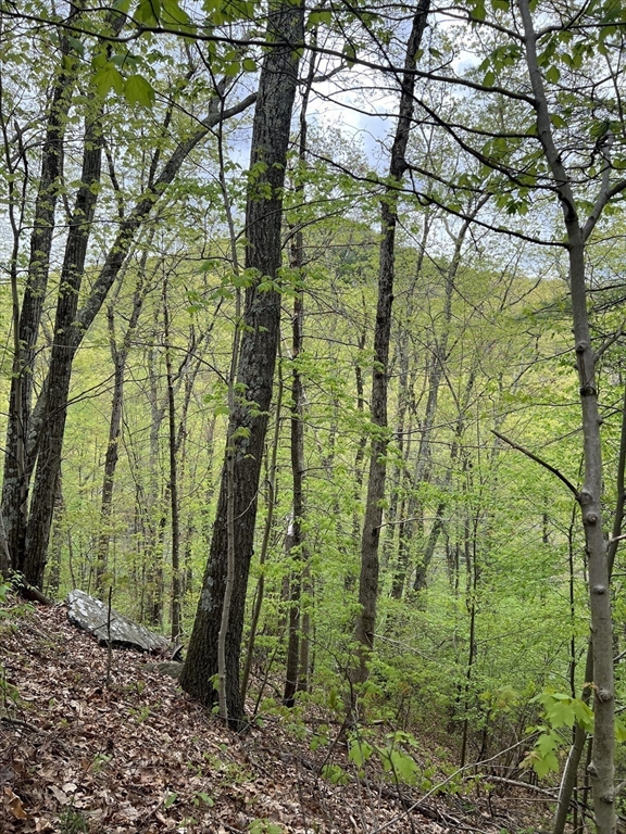 599-607 Old Warren Road Palmer, MA 01069 - Photo 10 of 13