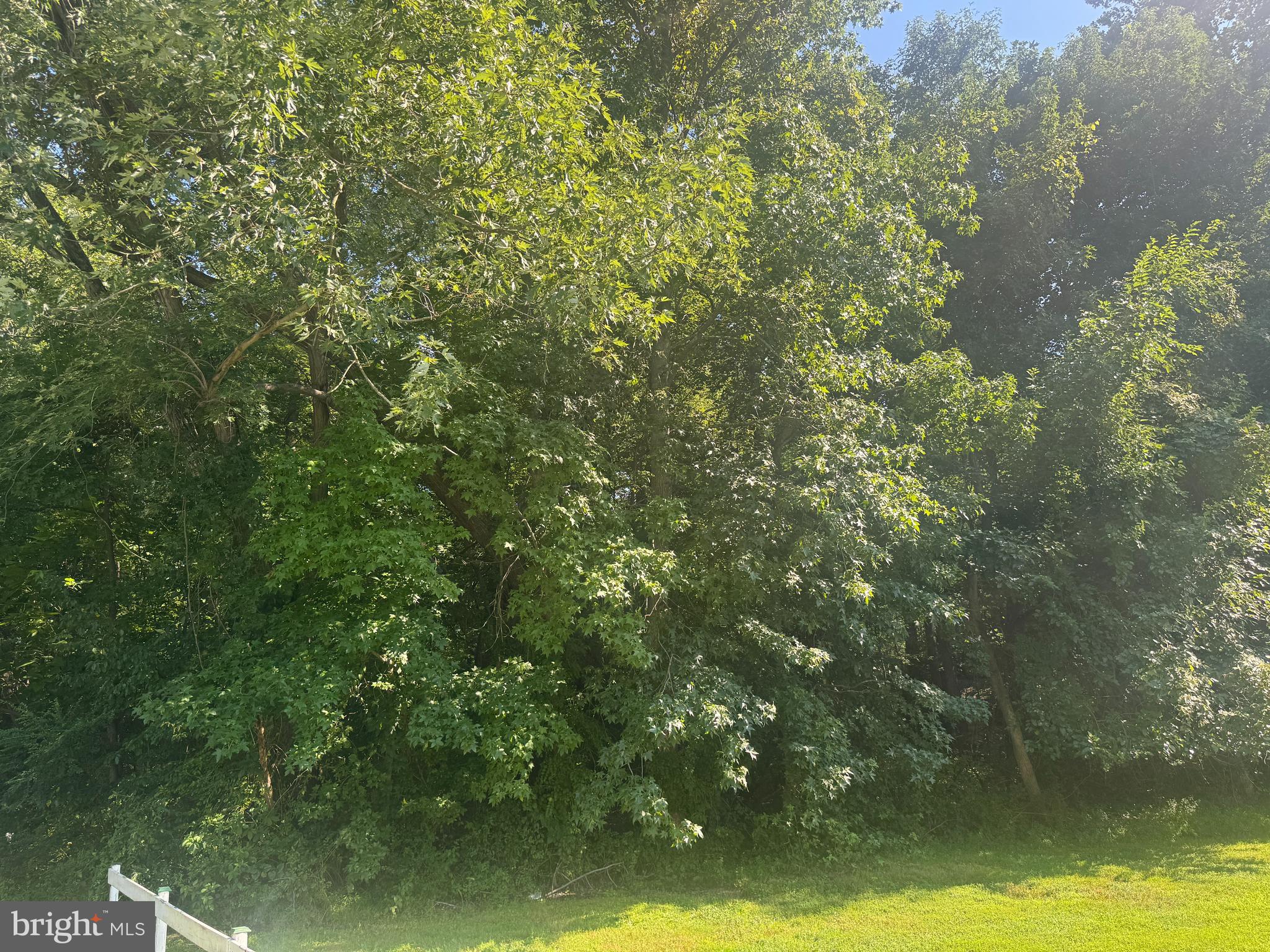 Allens Lane Rock Hall, MD 21661 - Photo 11 of 21 a view of a lake view