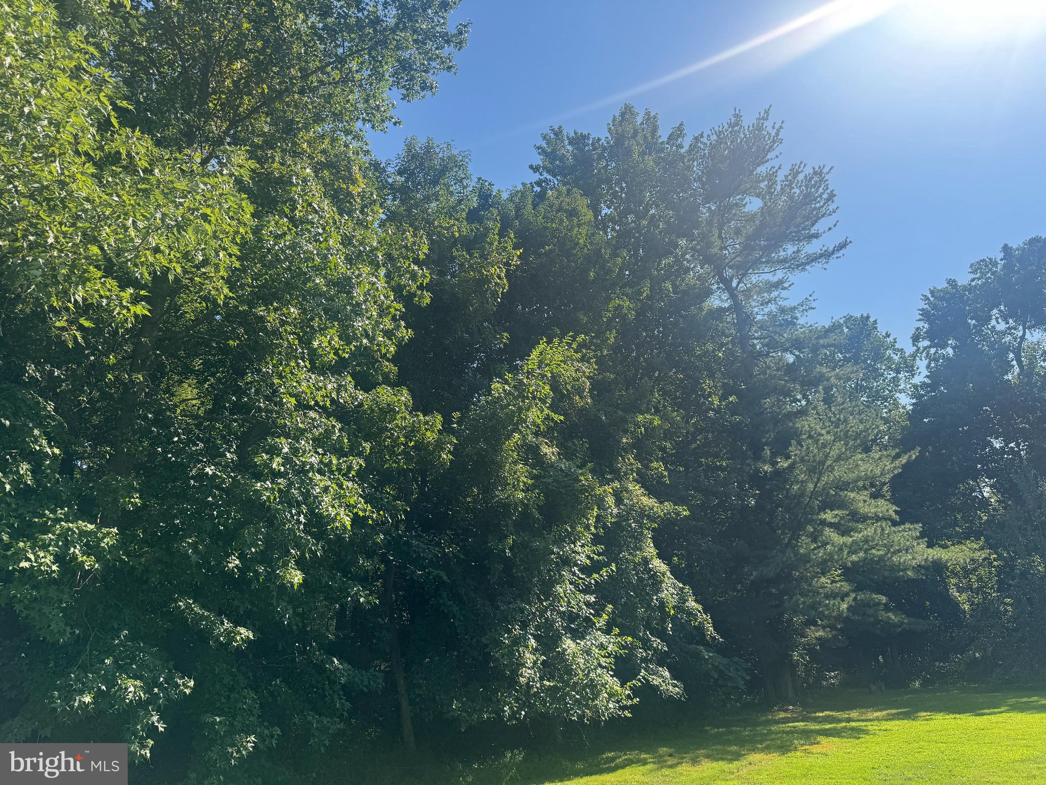 Allens Lane Rock Hall, MD 21661 - Photo 12 of 21 a view of a yard